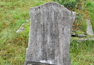 Novosedlice, Omnium, 2020