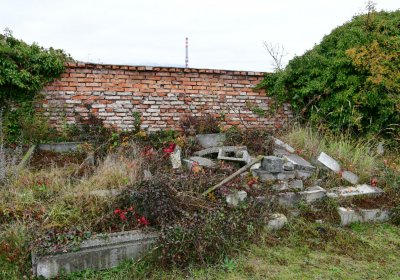 Novosedlice, Omnium, 2020