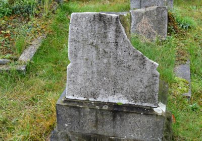 Novosedlice, Omnium, 2020