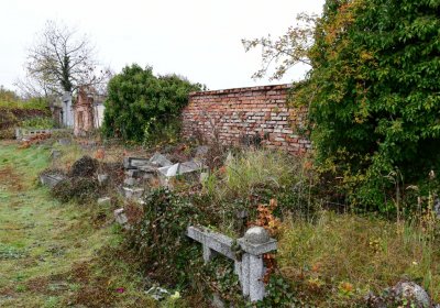 Novosedlice, Omnium, 2020