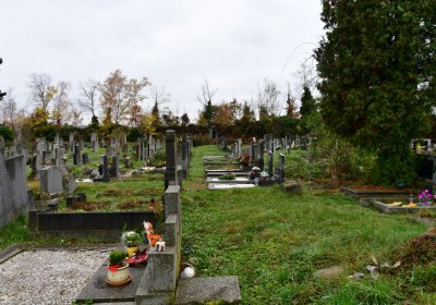 Novosedlice, Omnium, 2020