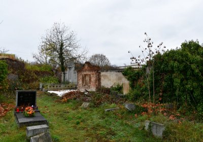 Novosedlice, Omnium, 2020