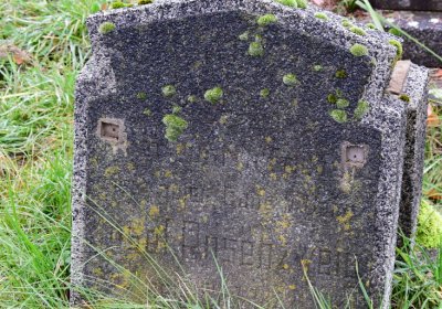 Novosedlice, Omnium, 2020