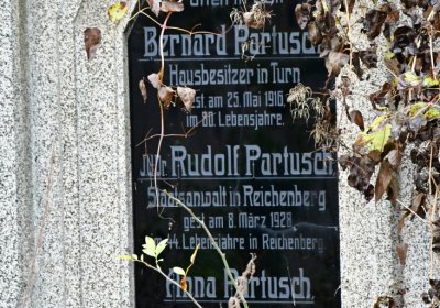 Novosedlice, Omnium, 2020