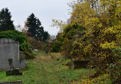 Novosedlice, Omnium, 2020