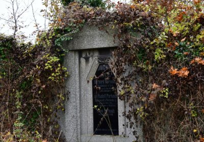 Novosedlice, Omnium, 2020