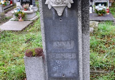 Novosedlice, Omnium, 2020