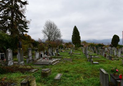 Novosedlice, Omnium, 2020