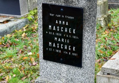 Novosedlice, Omnium, 2020