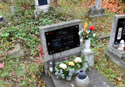 Novosedlice, Omnium, 2020