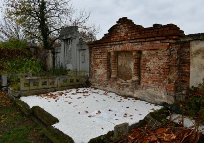 Novosedlice, Omnium, 2020