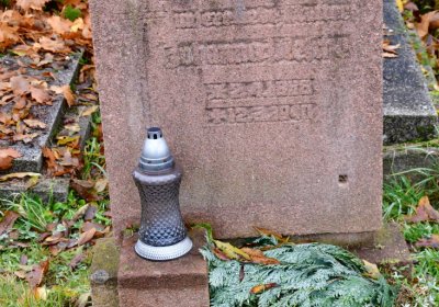 Novosedlice, Omnium, 2020