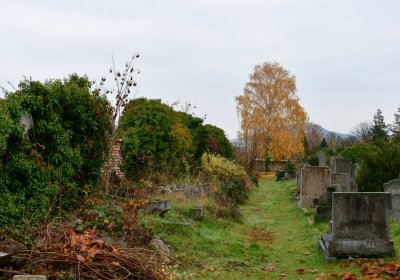 Novosedlice, Omnium, 2020