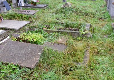 Novosedlice, Omnium, 2020