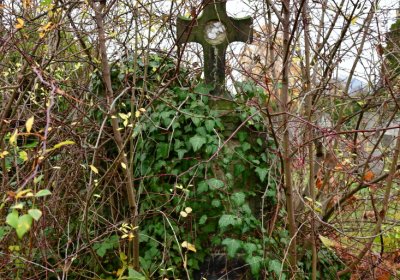 Novosedlice, Omnium, 2020