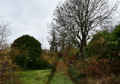 Novosedlice, Omnium, 2020