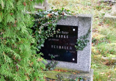 Novosedlice, Omnium, 2020