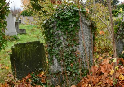 Novosedlice, Omnium, 2020