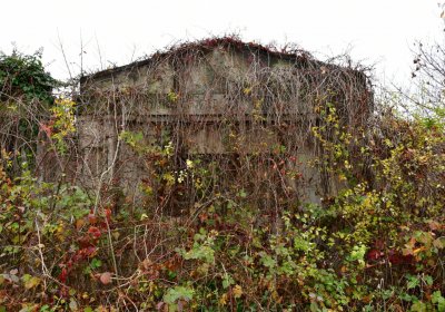 Novosedlice, Omnium, 2020