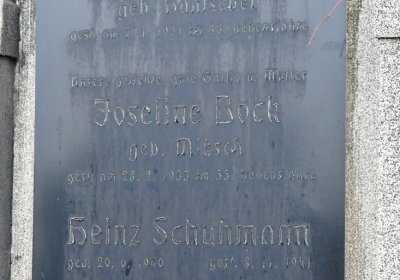 Novosedlice, Omnium, 2020