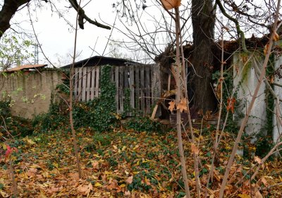 Novosedlice, Omnium, 2020