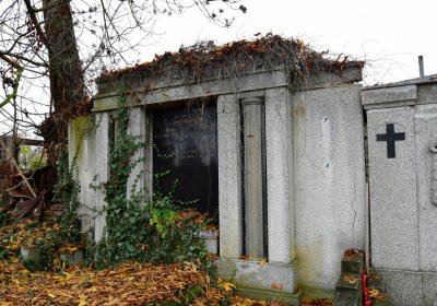 Novosedlice, Omnium, 2020