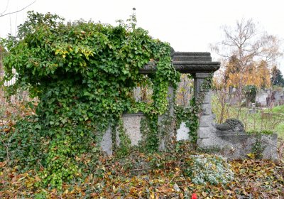 Novosedlice, Omnium, 2020