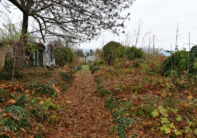 Novosedlice, Omnium, 2020