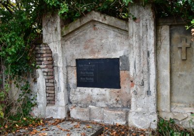 Novosedlice, Omnium, 2020