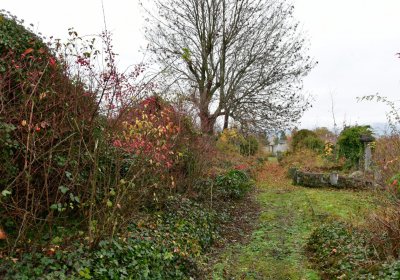 Novosedlice, Omnium, 2020