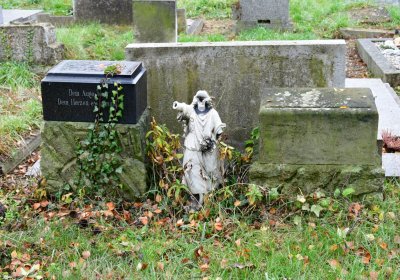 Novosedlice, Omnium, 2020