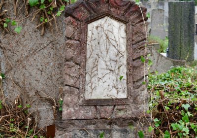 Novosedlice, Omnium, 2020