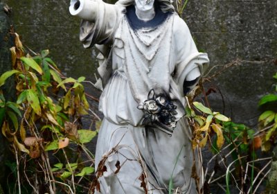 Novosedlice, Omnium, 2020