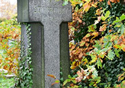 Novosedlice, Omnium, 2020