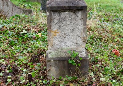 Novosedlice, Omnium, 2020