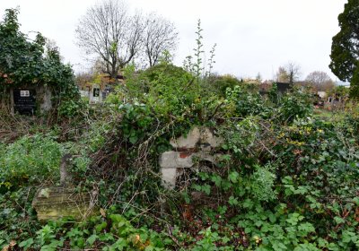 Novosedlice, Omnium, 2020