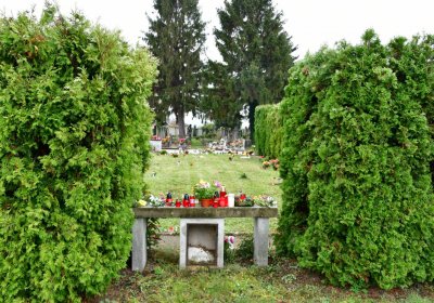 Novosedlice, Omnium, 2020