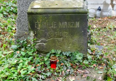 Novosedlice, Omnium, 2020