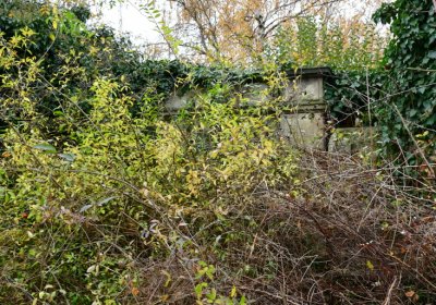 Novosedlice, Omnium, 2020