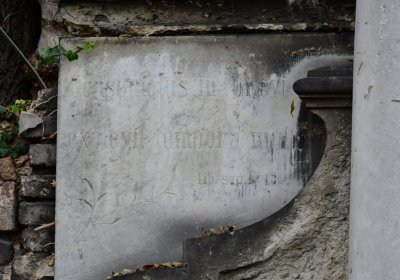 Novosedlice, Omnium, 2020