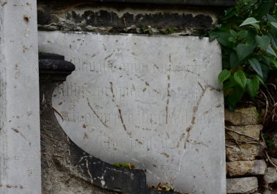 Novosedlice, Omnium, 2020