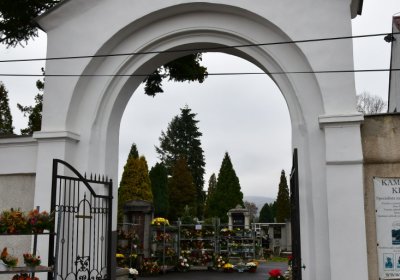 Novosedlice, Omnium, 2020