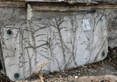 Nově dohledané nápisové desky po vyčištění hrobek u hřbitovní zdi, O.C., 2025