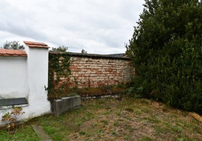 Rtyně nad Bílinou, Omnium, 2020