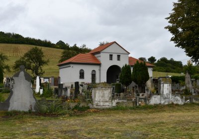 Rtyně nad Bílinou, Omnium, 2020