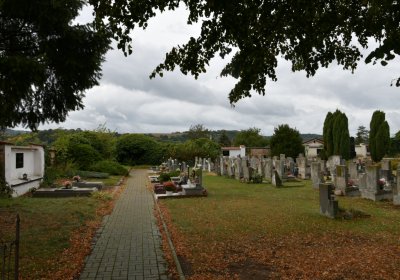 Rtyně nad Bílinou, Omnium, 2020