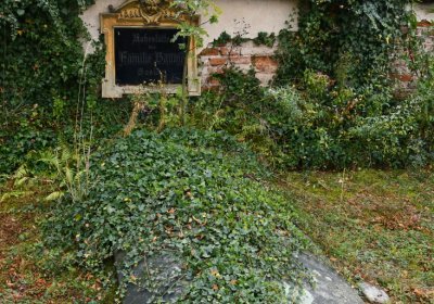 Rtyně nad Bílinou, Omnium, 2020