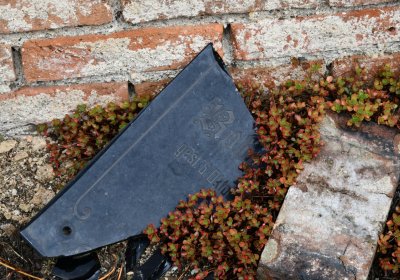 Rtyně nad Bílinou, Omnium, 2020