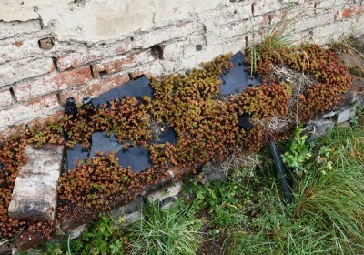 Rtyně nad Bílinou, Omnium, 2020