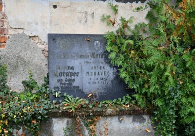 Rtyně nad Bílinou, Omnium, 2020